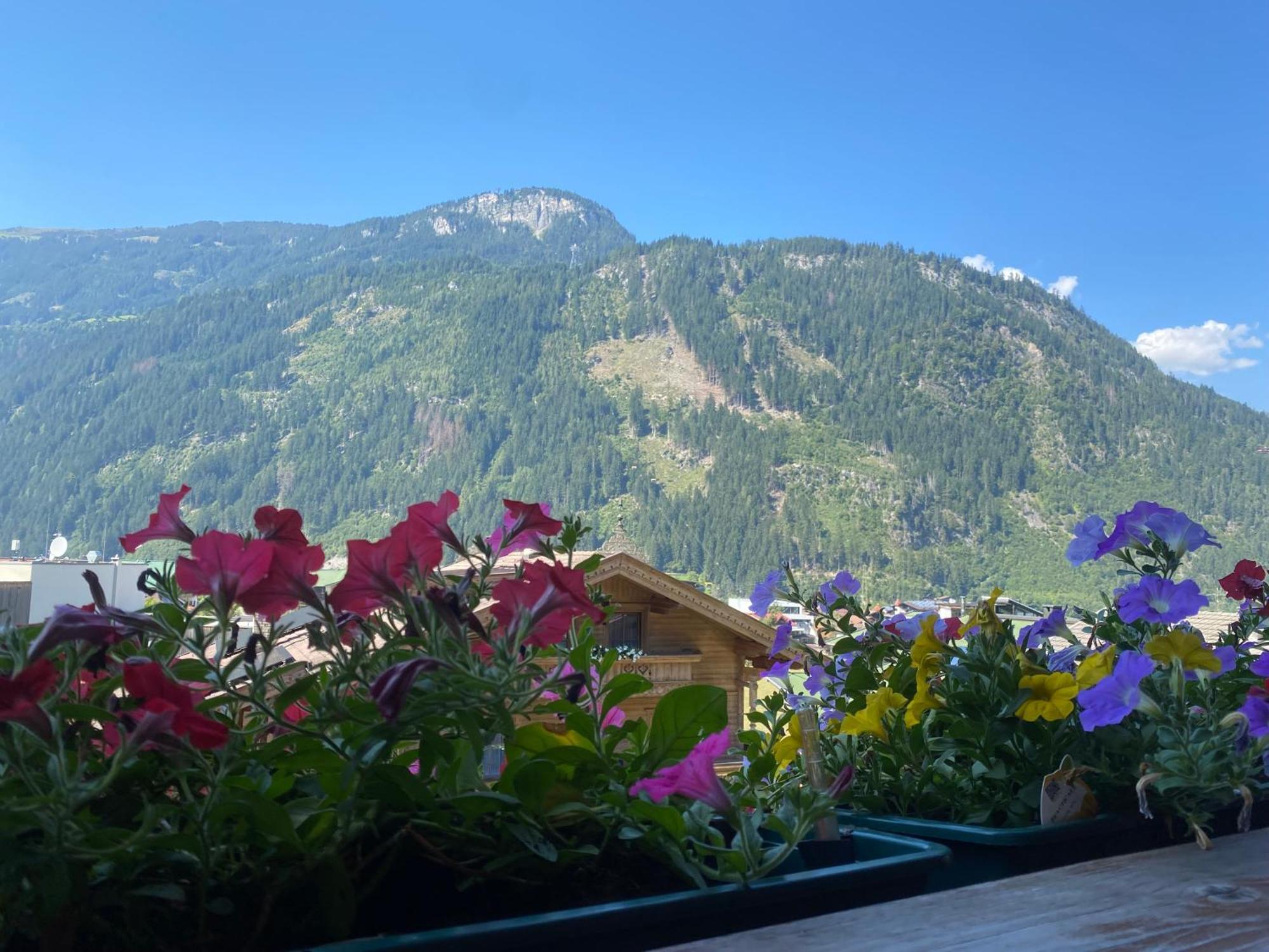 Pension Schwemberger Ohne Fruehstueck Mayrhofen Εξωτερικό φωτογραφία